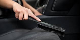 Excessive Pet Hair Removal